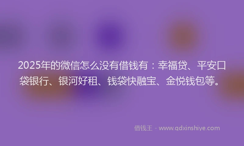 2025年的微信怎么没有借钱有：幸福贷、平安口袋银行、银河好租、钱袋快融宝、金悦钱包等。