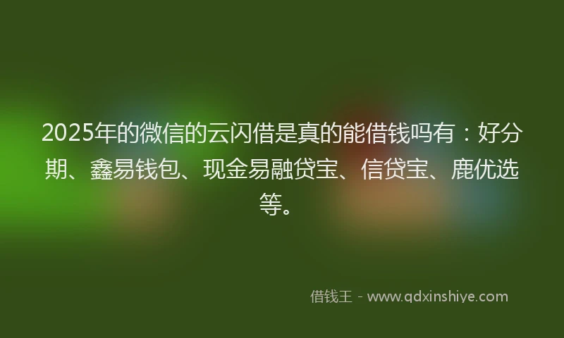 2025年的微信的云闪借是真的能借钱吗有：好分期、鑫易钱包、现金易融贷宝、信贷宝、鹿优选等。