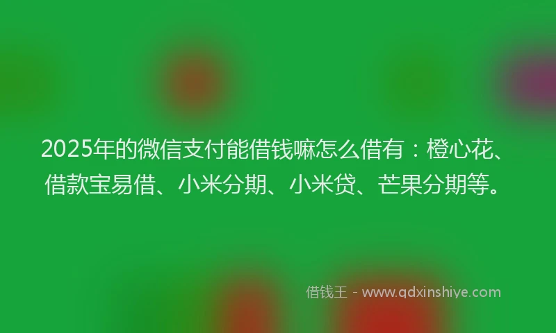 2025年的微信支付能借钱嘛怎么借有：橙心花、借款宝易借、小米分期、小米贷、芒果分期等。
