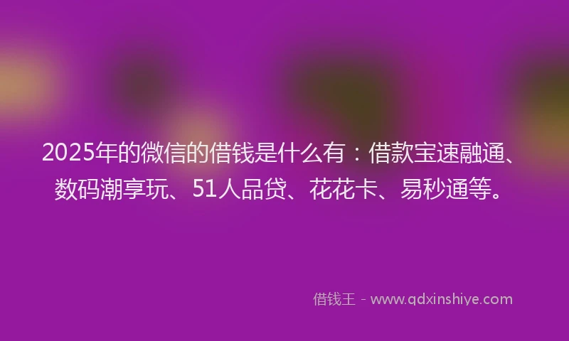 2025年的微信的借钱是什么有：借款宝速融通、数码潮享玩、51人品贷、花花卡、易秒通等。