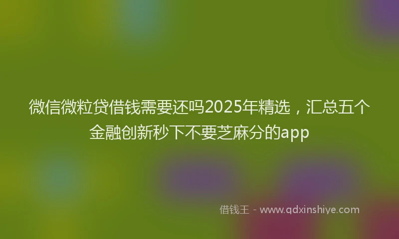 微信微粒贷借钱需要还吗2025年精选，汇总五个金融创新秒下不要芝麻分的app