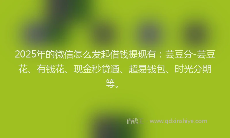 2025年的微信怎么发起借钱提现有：芸豆分-芸豆花、有钱花、现金秒贷通、超易钱包、时光分期等。
