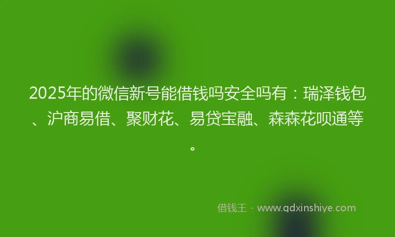 2025年的微信新号能借钱吗安全吗有：瑞泽钱包、沪商易借、聚财花、易贷宝融、森森花呗通等。