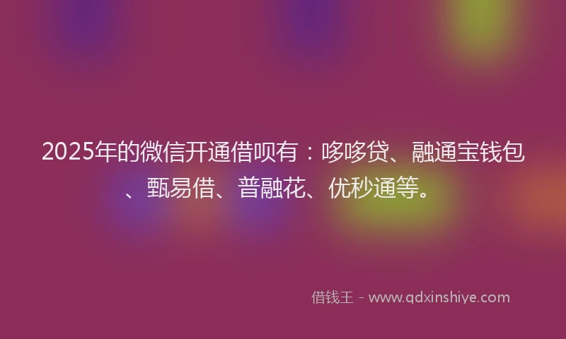 2025年的微信开通借呗有：哆哆贷、融通宝钱包、甄易借、普融花、优秒通等。