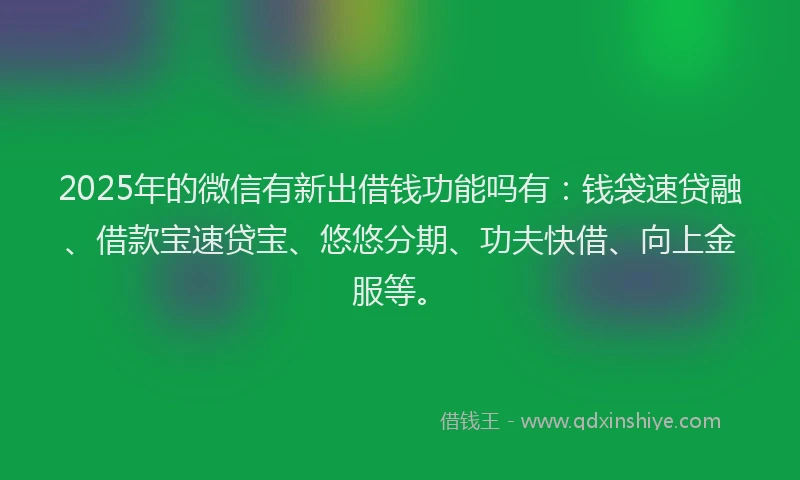 2025年的微信有新出借钱功能吗有：钱袋速贷融、借款宝速贷宝、悠悠分期、功夫快借、向上金服等。