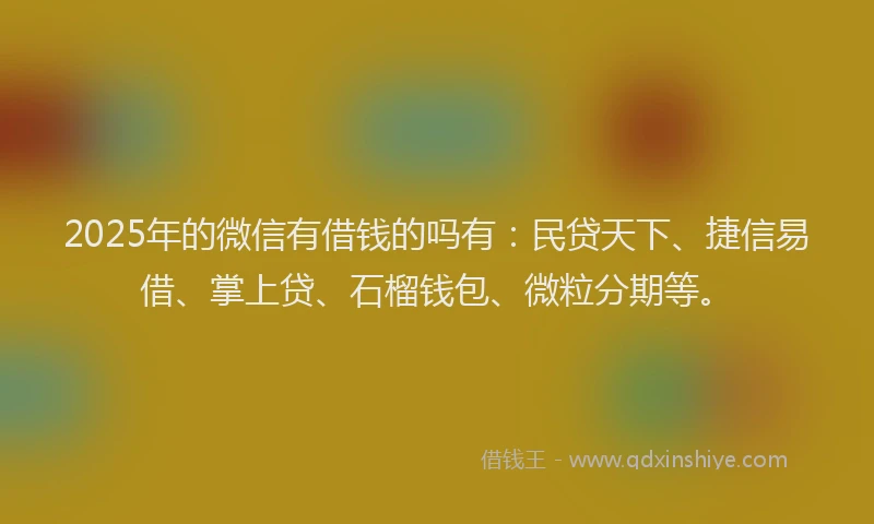 2025年的微信有借钱的吗有：民贷天下、捷信易借、掌上贷、石榴钱包、微粒分期等。