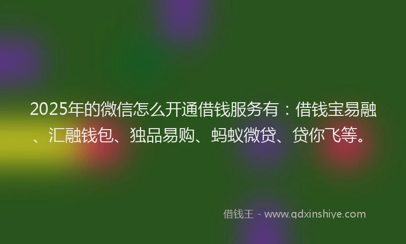 2025年的微信怎么开通借钱服务有：借钱宝易融、汇融钱包、独品易购、蚂蚁微贷、贷你飞等。