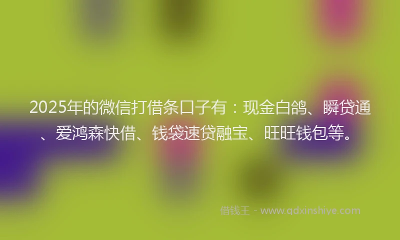 2025年的微信打借条口子有：现金白鸽、瞬贷通、爱鸿森快借、钱袋速贷融宝、旺旺钱包等。