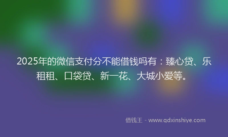 2025年的微信支付分不能借钱吗有：臻心贷、乐租租、口袋贷、新一花、大城小爱等。