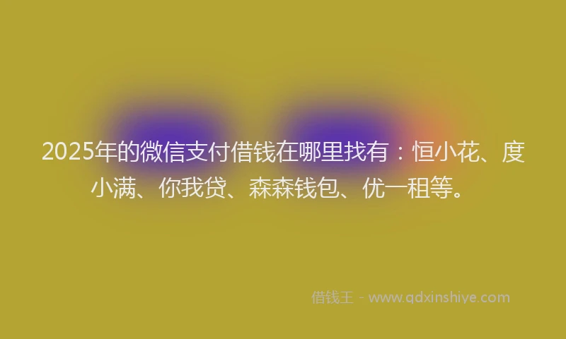 2025年的微信支付借钱在哪里找有：恒小花、度小满、你我贷、森森钱包、优一租等。