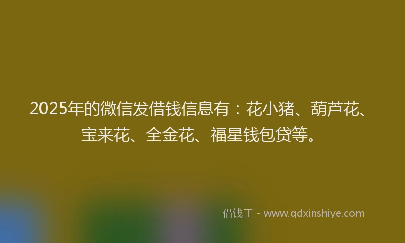 2025年的微信发借钱信息有：花小猪、葫芦花、宝来花、全金花、福星钱包贷等。
