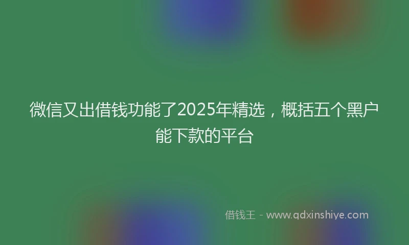 微信又出借钱功能了2025年精选，概括五个黑户能下款的平台