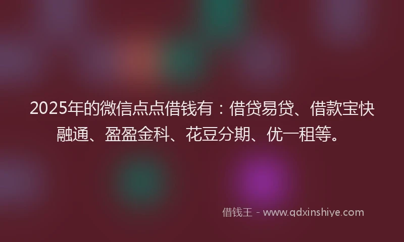 2025年的微信点点借钱有：借贷易贷、借款宝快融通、盈盈金科、花豆分期、优一租等。