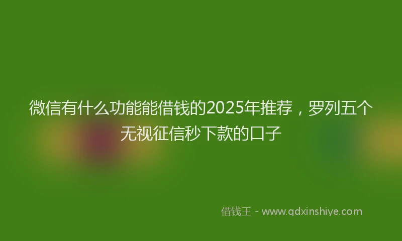 微信有什么功能能借钱的2025年推荐，罗列五个无视征信秒下款的口子