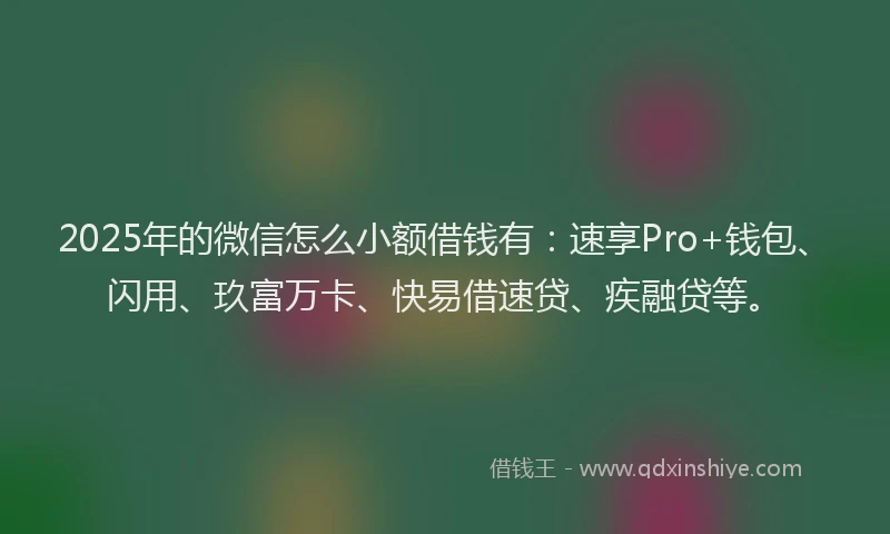 2025年的微信怎么小额借钱有：速享Pro+钱包、闪用、玖富万卡、快易借速贷、疾融贷等。