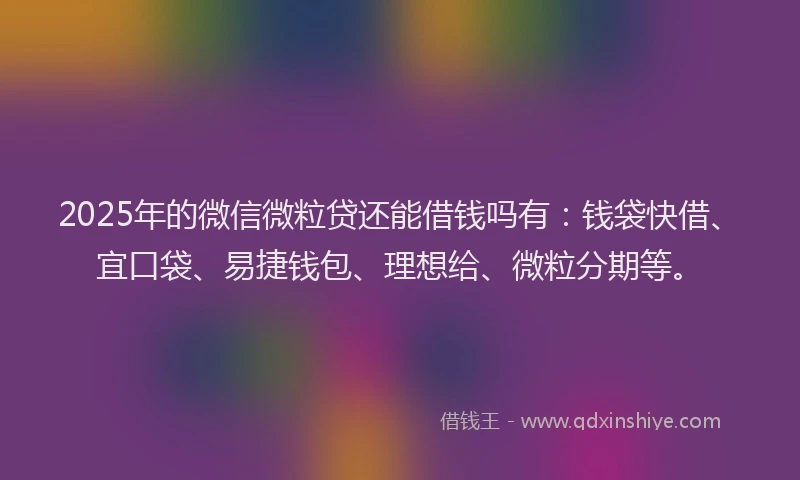 2025年的微信微粒贷还能借钱吗有：钱袋快借、宜口袋、易捷钱包、理想给、微粒分期等。