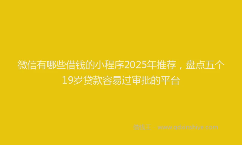 微信有哪些借钱的小程序2025年推荐，盘点五个19岁贷款容易过审批的平台