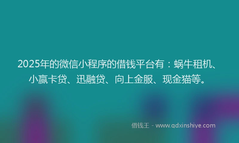 2025年的微信小程序的借钱平台有：蜗牛租机、小赢卡贷、迅融贷、向上金服、现金猫等。