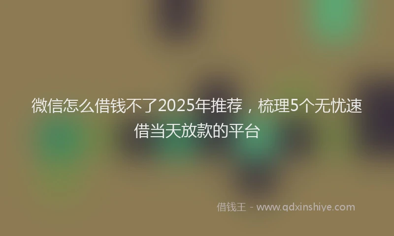 微信怎么借钱不了2025年推荐，梳理5个无忧速借当天放款的平台