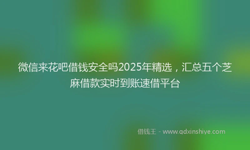 微信来花吧借钱安全吗2025年精选，汇总五个芝麻借款实时到账速借平台
