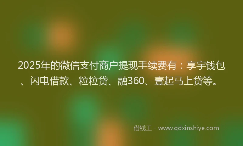 2025年的微信支付商户提现手续费有：享宇钱包、闪电借款、粒粒贷、融360、壹起马上贷等。