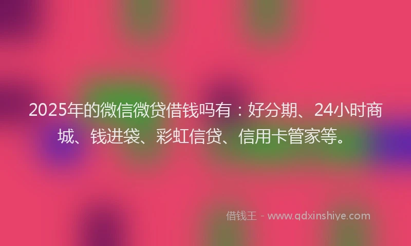 2025年的微信微贷借钱吗有：好分期、24小时商城、钱进袋、彩虹信贷、信用卡管家等。