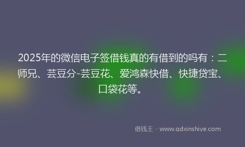 2025年的微信电子签借钱真的有借到的吗有：二师兄、芸豆分-芸豆花、爱鸿森快借、快捷贷宝、口袋花等。