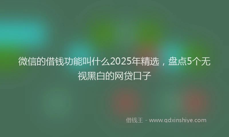 微信的借钱功能叫什么2025年精选，盘点5个无视黑白的网贷口子
