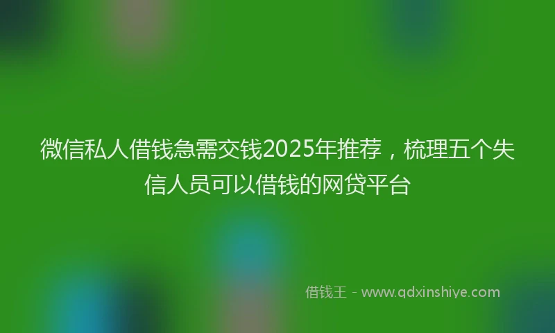 微信私人借钱急需交钱2025年推荐，梳理五个失信人员可以借钱的网贷平台