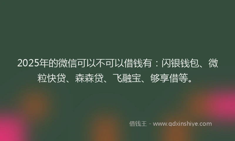2025年的微信可以不可以借钱有：闪银钱包、微粒快贷、森森贷、飞融宝、够享借等。