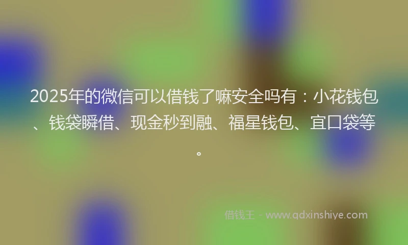 2025年的微信可以借钱了嘛安全吗有：小花钱包、钱袋瞬借、现金秒到融、福星钱包、宜口袋等。