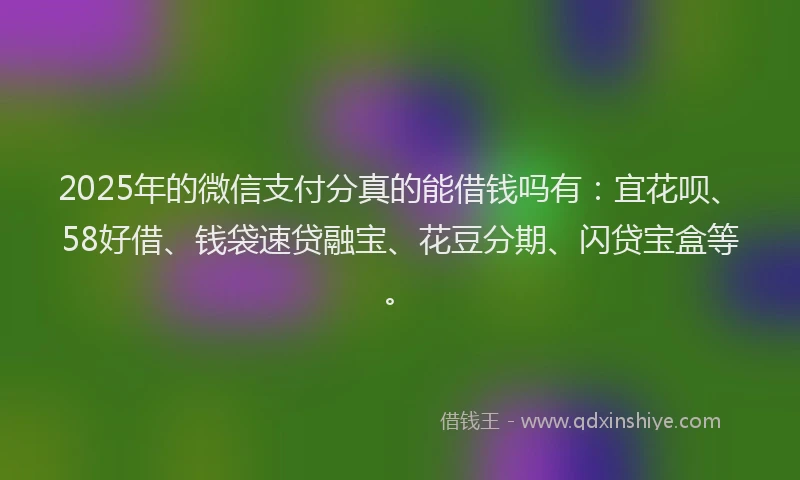 2025年的微信支付分真的能借钱吗有：宜花呗、58好借、钱袋速贷融宝、花豆分期、闪贷宝盒等。
