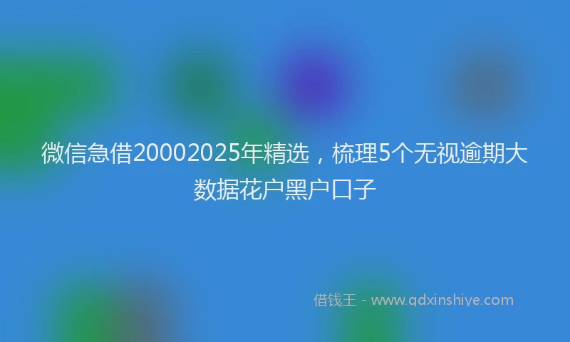 微信急借20002025年精选，梳理5个无视逾期大数据花户黑户口子