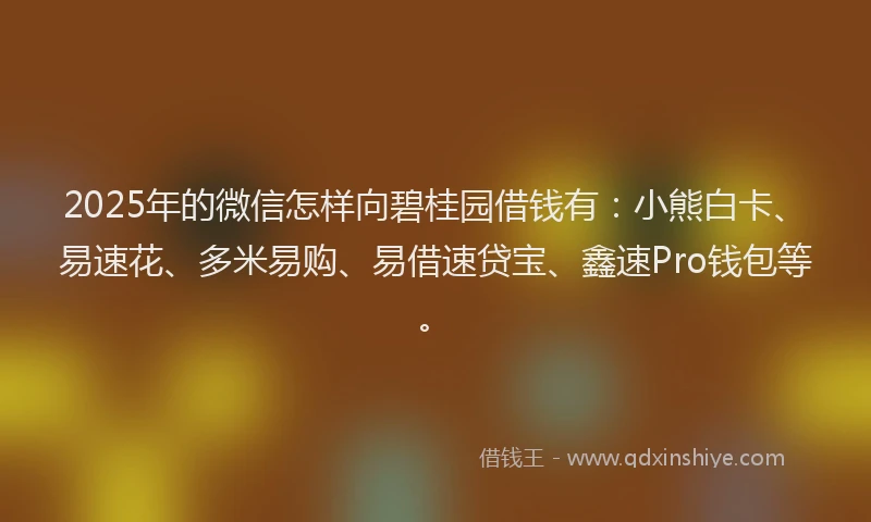 2025年的微信怎样向碧桂园借钱有：小熊白卡、易速花、多米易购、易借速贷宝、鑫速Pro钱包等。