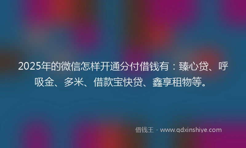 2025年的微信怎样开通分付借钱有：臻心贷、呼吸金、多米、借款宝快贷、鑫享租物等。