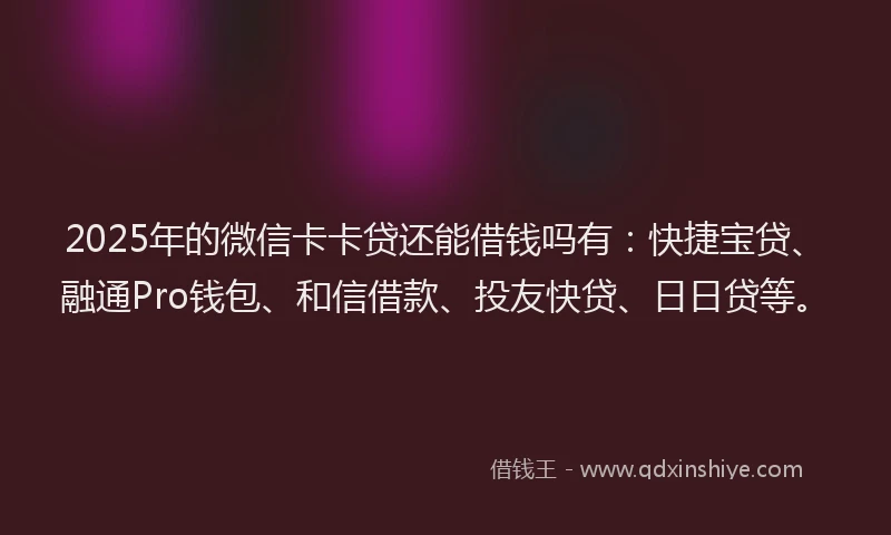 2025年的微信卡卡贷还能借钱吗有：快捷宝贷、融通Pro钱包、和信借款、投友快贷、日日贷等。