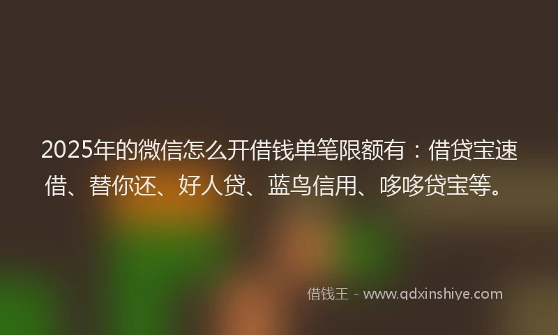 2025年的微信怎么开借钱单笔限额有：借贷宝速借、替你还、好人贷、蓝鸟信用、哆哆贷宝等。