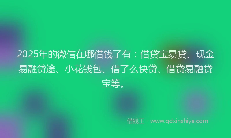 2025年的微信在哪借钱了有：借贷宝易贷、现金易融贷途、小花钱包、借了么快贷、借贷易融贷宝等。