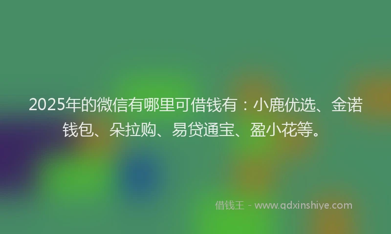 2025年的微信有哪里可借钱有：小鹿优选、金诺钱包、朵拉购、易贷通宝、盈小花等。