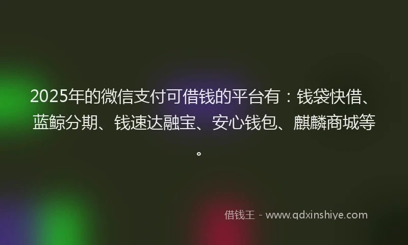 2025年的微信支付可借钱的平台有：钱袋快借、蓝鲸分期、钱速达融宝、安心钱包、麒麟商城等。