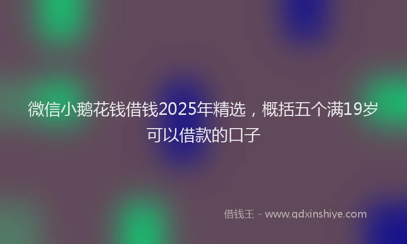 微信小鹅花钱借钱2025年精选，概括五个满19岁可以借款的口子