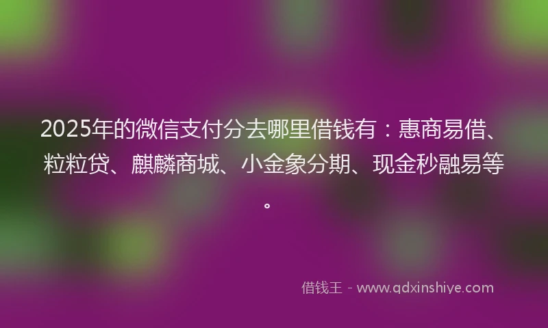 2025年的微信支付分去哪里借钱有：惠商易借、粒粒贷、麒麟商城、小金象分期、现金秒融易等。