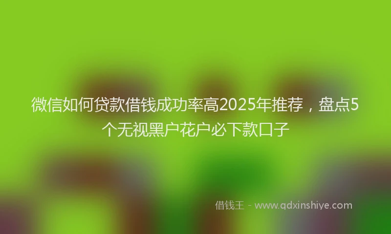 微信如何贷款借钱成功率高2025年推荐，盘点5个无视黑户花户必下款口子