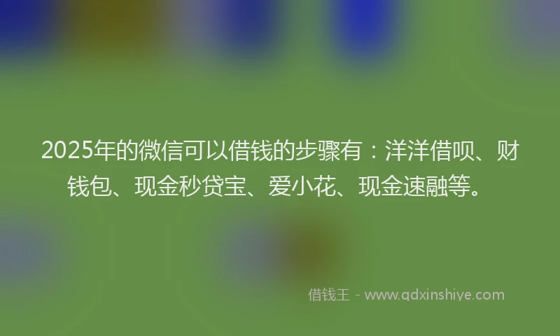 2025年的微信可以借钱的步骤有：洋洋借呗、财钱包、现金秒贷宝、爱小花、现金速融等。