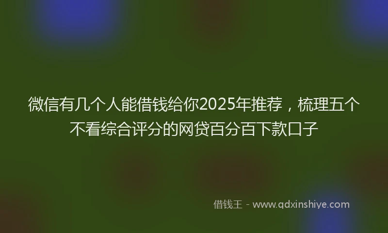 微信有几个人能借钱给你2025年推荐，梳理五个不看综合评分的网贷百分百下款口子