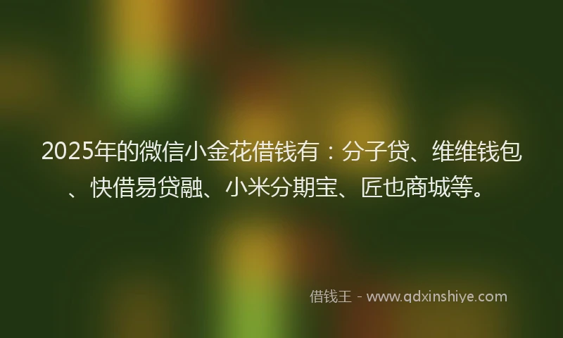 2025年的微信小金花借钱有：分子贷、维维钱包、快借易贷融、小米分期宝、匠也商城等。