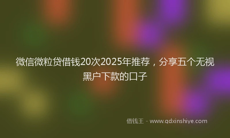 微信微粒贷借钱20次2025年推荐，分享五个无视黑户下款的口子