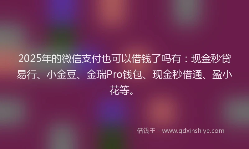 2025年的微信支付也可以借钱了吗有：现金秒贷易行、小金豆、金瑞Pro钱包、现金秒借通、盈小花等。