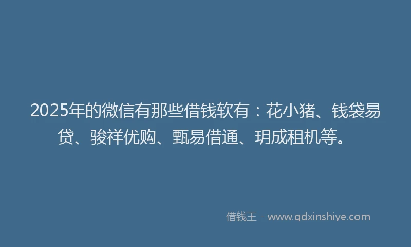 2025年的微信有那些借钱软有：花小猪、钱袋易贷、骏祥优购、甄易借通、玥成租机等。