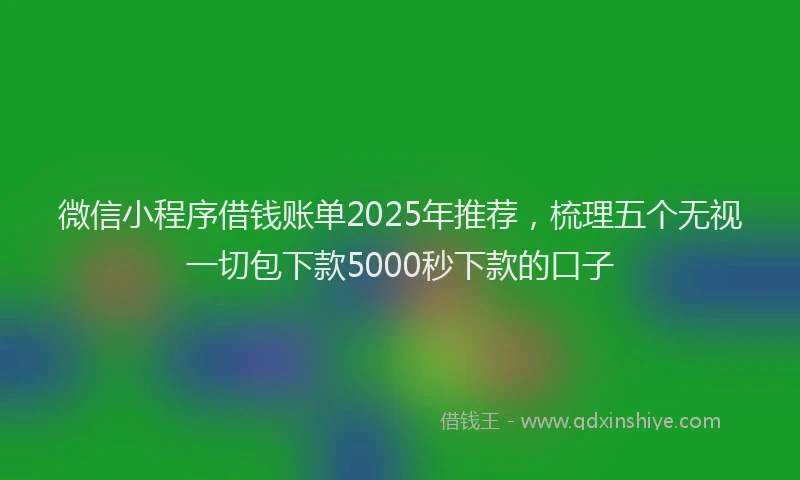 微信小程序借钱账单2025年推荐，梳理五个无视一切包下款5000秒下款的口子